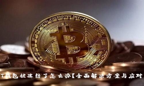 USDT钱包被冻结了怎么办？全面解决方案与应对策略