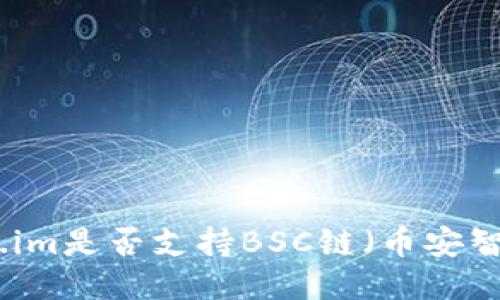 Token.im是否支持BSC链（币安智能链）