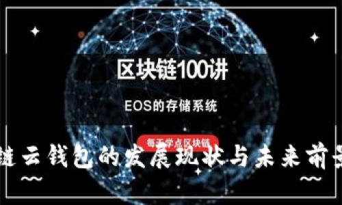 区块链云钱包的发展现状与未来前景分析
