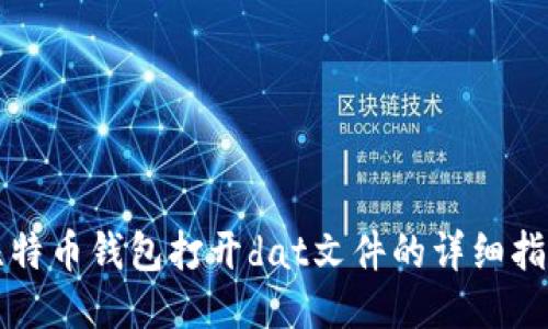 比特币钱包打开dat文件的详细指南