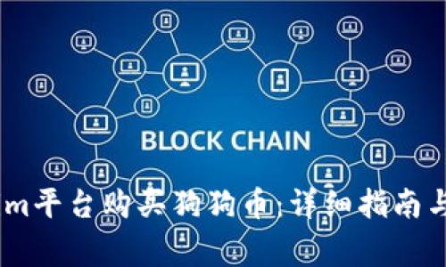 如何在Token.im平台购买狗狗币：详细指南与常见问题解答