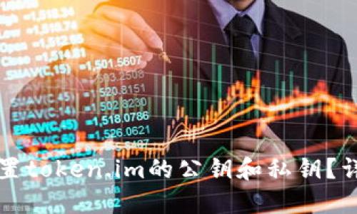 如何设置token.im的公钥和私钥？详尽指南