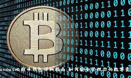 Exodus比特币钱包详细指南：如何安全管理你的数字资产