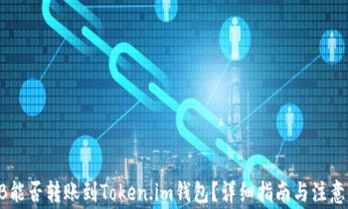 
SHIB能否转账到Token.im钱包？详细指南与注意事项