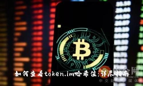 如何查看token.im哈希值：详尽指南