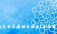 比特币钱包能否存储云储币？全面解析与指南