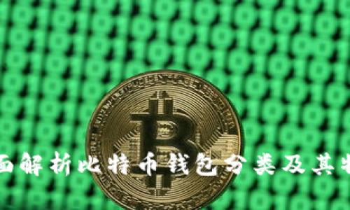全面解析比特币钱包分类及其特点