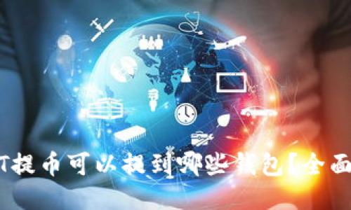 USDT提币可以提到哪些钱包？全面指南