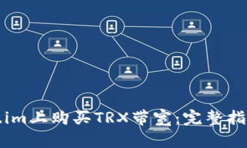 如何在Token.im上购买TRX带宽：完整指南与实用技巧