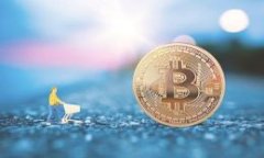 解决 Token.im 中 USDT 地址不