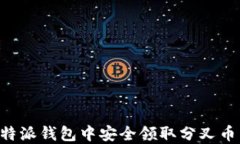 如何在比特派钱包中安全领取分叉币：详细指南